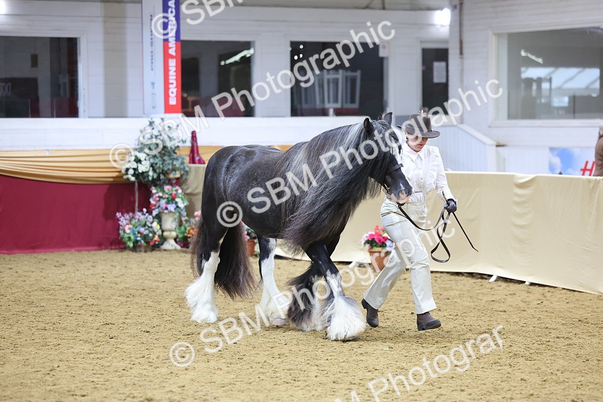 SBM_21042 - Class 902 - Supreme Final IH Veteran