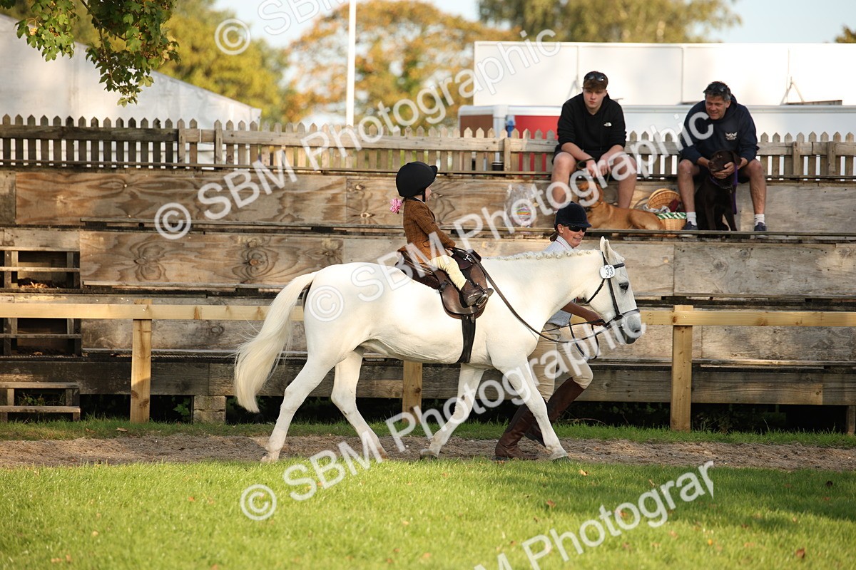 SBM_54393 - S27 - Mature Veteran - Ridden