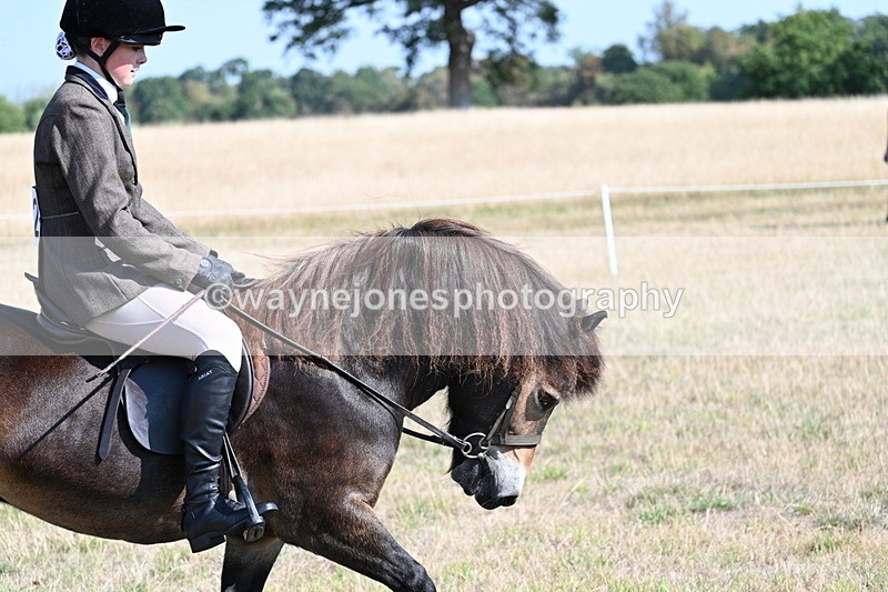 WJ7_2942 - Class 8 Ridden Tack & Turnout