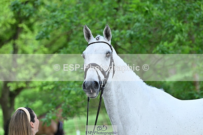 250521A-170315-01493 - C-283-Laura.Collett-COOLEY.ICEAGE