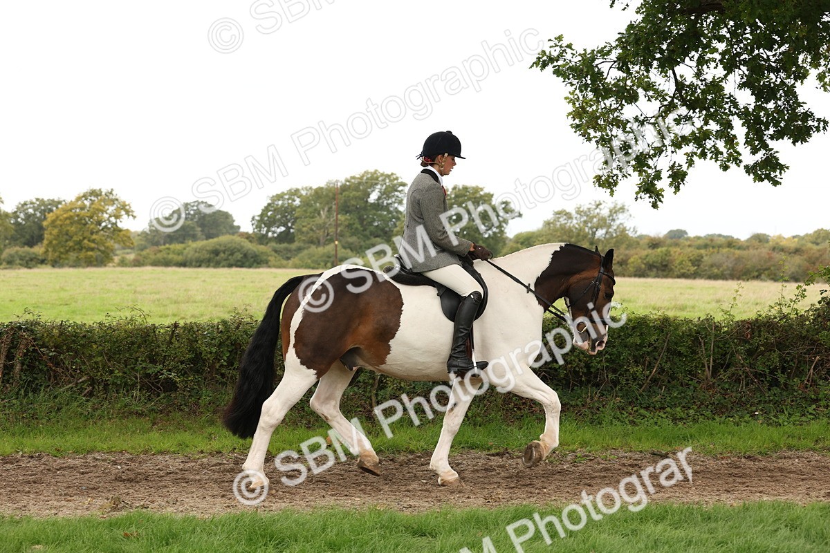 SBM_66295 - S66 - Hunter Ridden