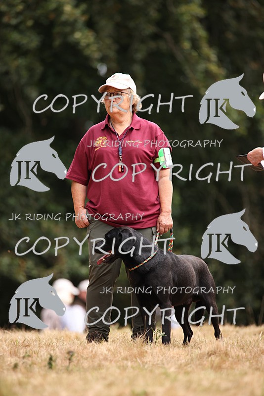 2R6A3385 - TEAM C:ESSEX 7-8-9