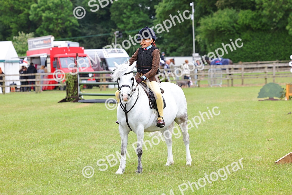 SBM_08709 - Class 42-43 - LIHS BSPS Heritage Working Sports Pony