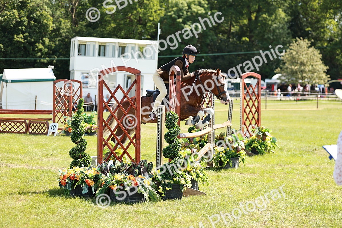 SBM_17626 - Class 112-113 - BSPS LIHS Working Sports Pony