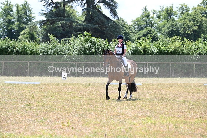 WJ6_4887 - Time 12:16 to 13:05