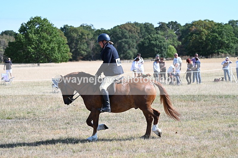 WJ7_3873 - Class 9 Mountain & Moorland Ridden