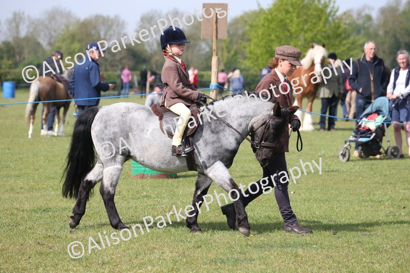 20260426-0578 - Class 31 - Leading Rein