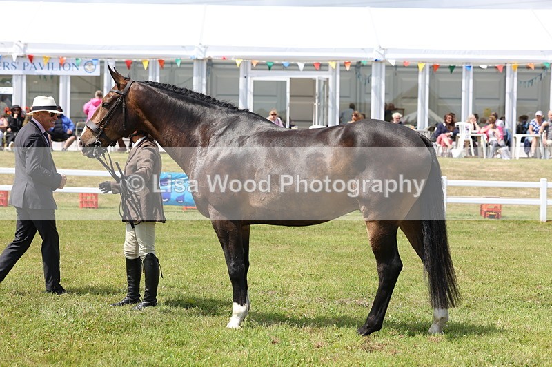 3E7A1733 - Class 9: Open Hunter