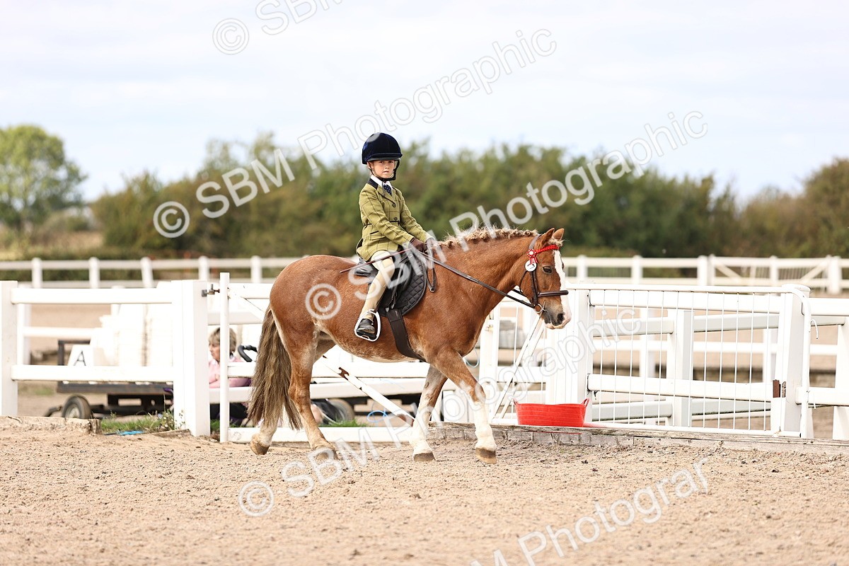 SBM_16131 - Class 420 - Horse-Pony Judge would most like to take home (IH or Ridden) Jnr