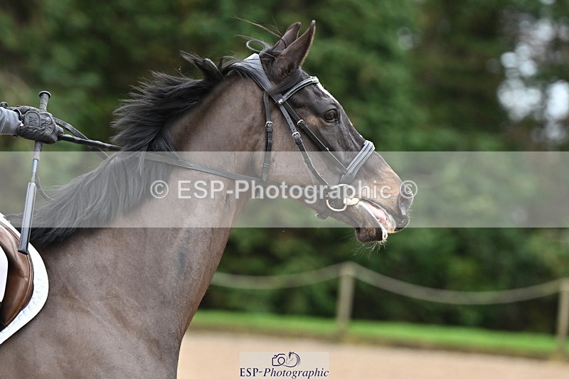 250201A-115627-00547 - Cls 02 Local Horse 100cm