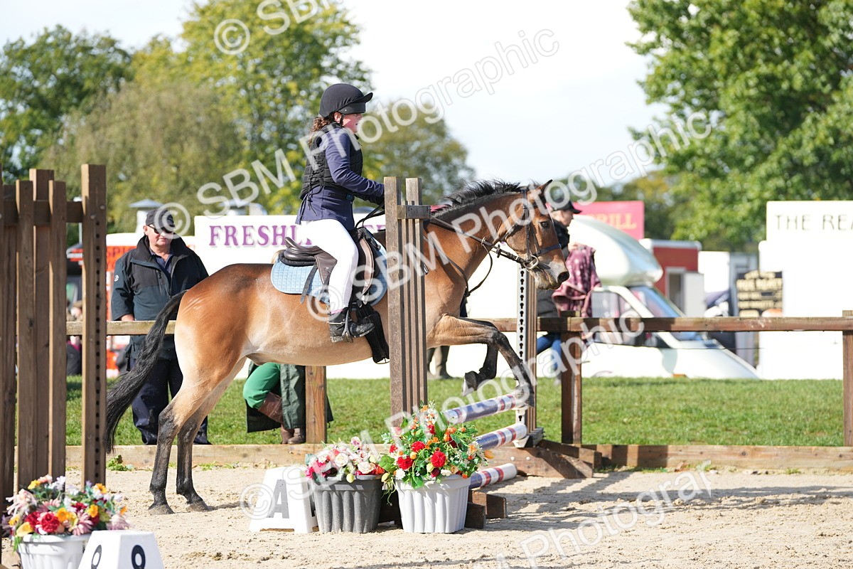 SBM_38229 - J6 - Junior Pony 55cm Championship