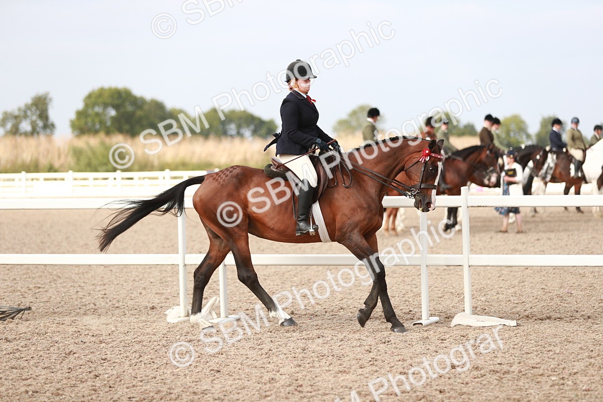 SBM_17499 - Class 215 Ridden Hack/ Riding Horse