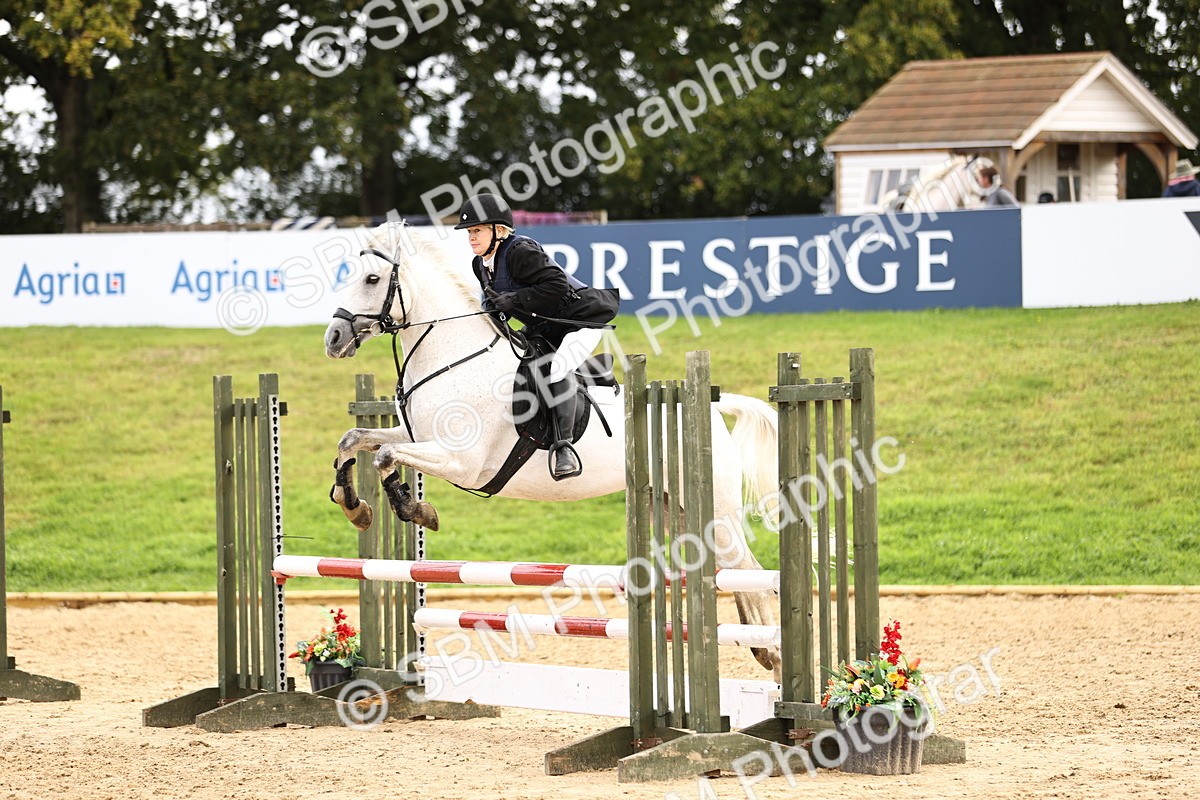 SBM_41060 - J40 Senior Horse & Pony 90cm Supreme Championship