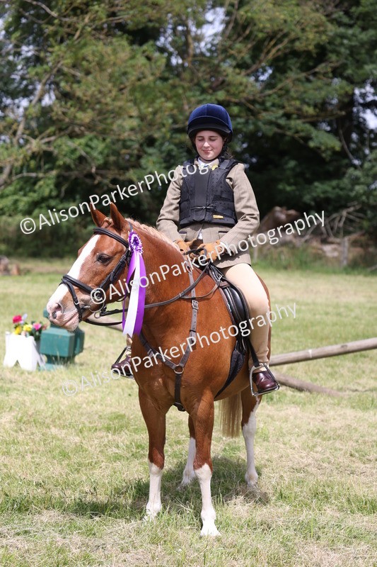 20260614-2160 - Class 21 - Novice Working Hunter Pony