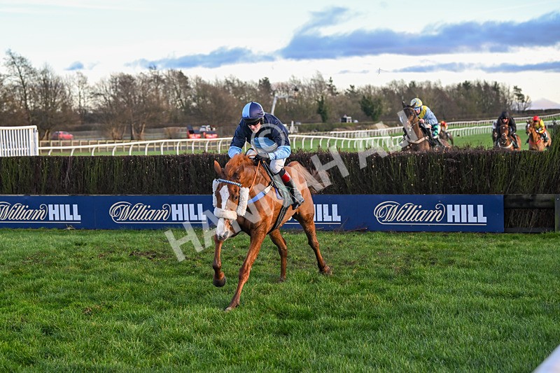 281224-Race 5-Poetry Man-4818 - Race 5