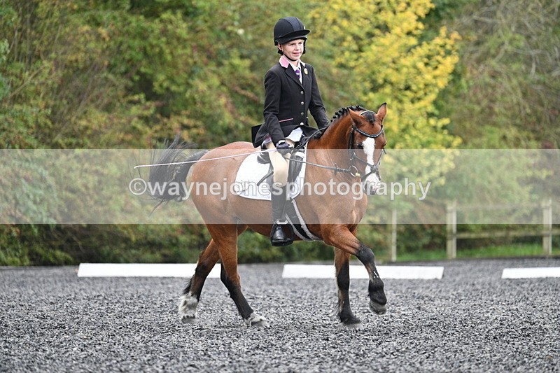 WJ7_4030 - Time 11:04 to 11:38