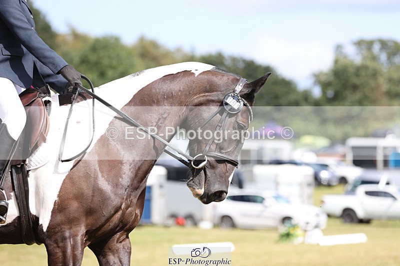 240824X-144201-28784 - D80 Ride off  14.15 to 15.30