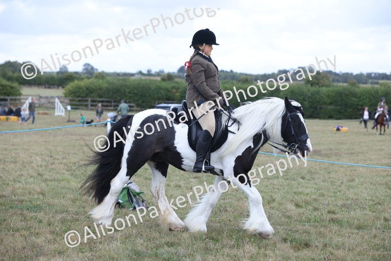 20250831-4224 - Class 20 - Ridden Coloured