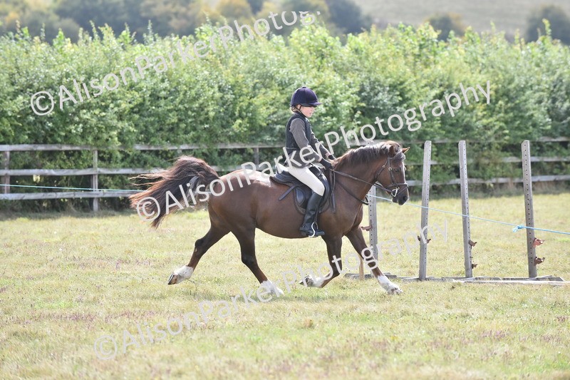 20250831-3933 - Class 11 - Working Hunter Pony 13hh and Under