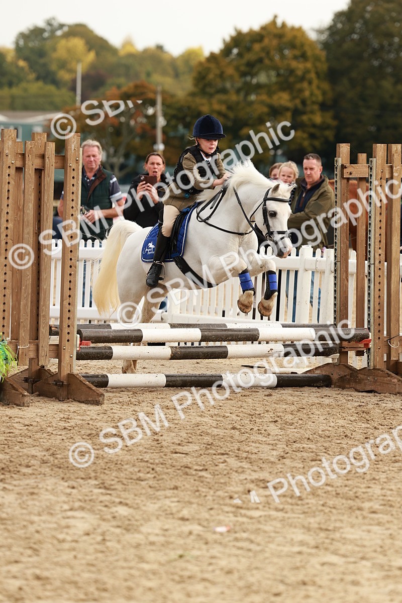 SBM_55784 - J11 - Junior Pony 50cm Championship