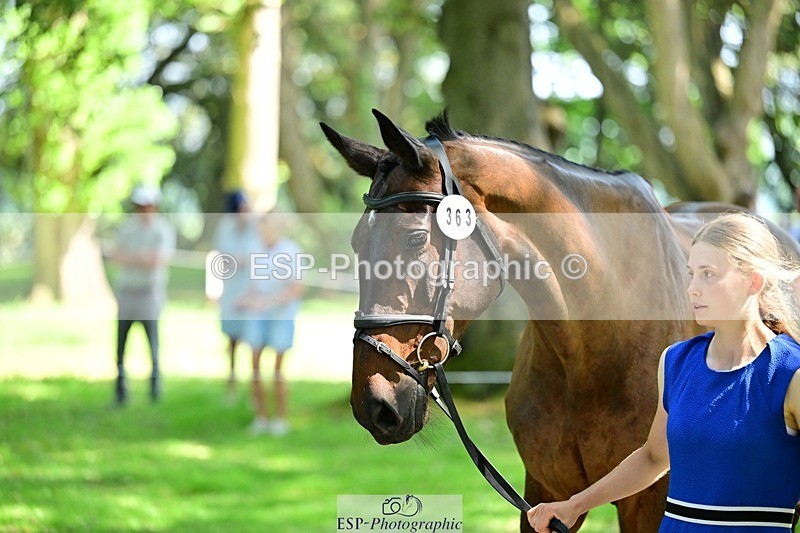 260527A-151847-01061 - C-363-Katherine.Naylor
