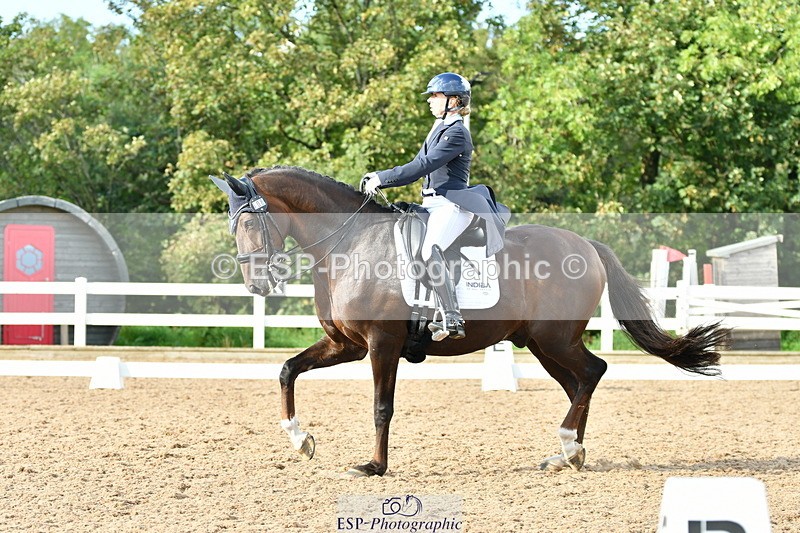 230912A-171027-01947 - Cls 23 FEI Grand Prix