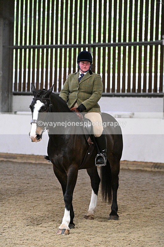 WJ7_3916 - Class 17 Ridden Cob