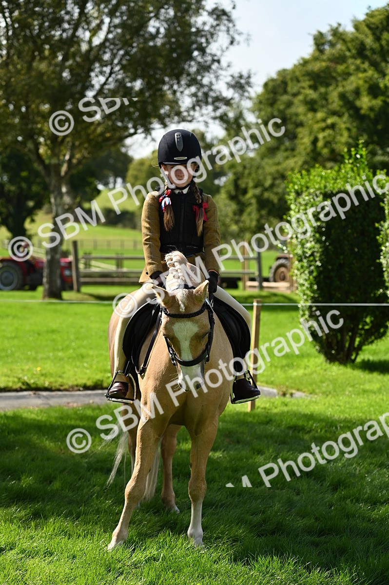 SBM_02840 - S3 - TSR Ridden Pony Showing