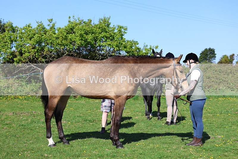 3E7A9031 - Class 15: Two/Three Year olds