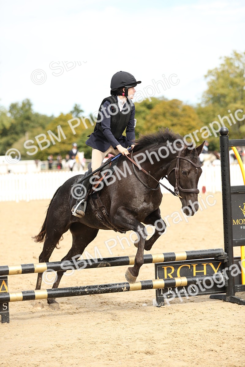 SBM_40835 - Supreme Championship 50cm 60cm