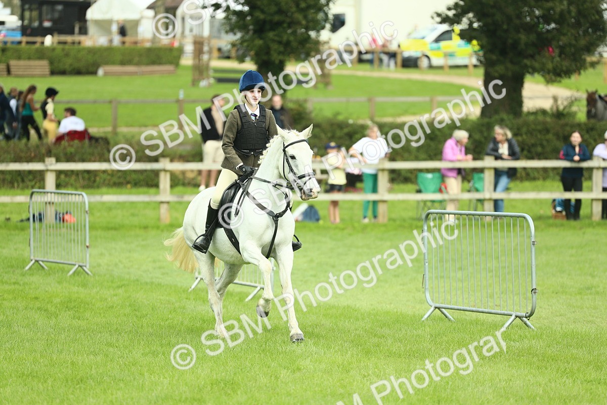 SBM_42250 - S29 - Novice & Newcomers Working Hunter Pony