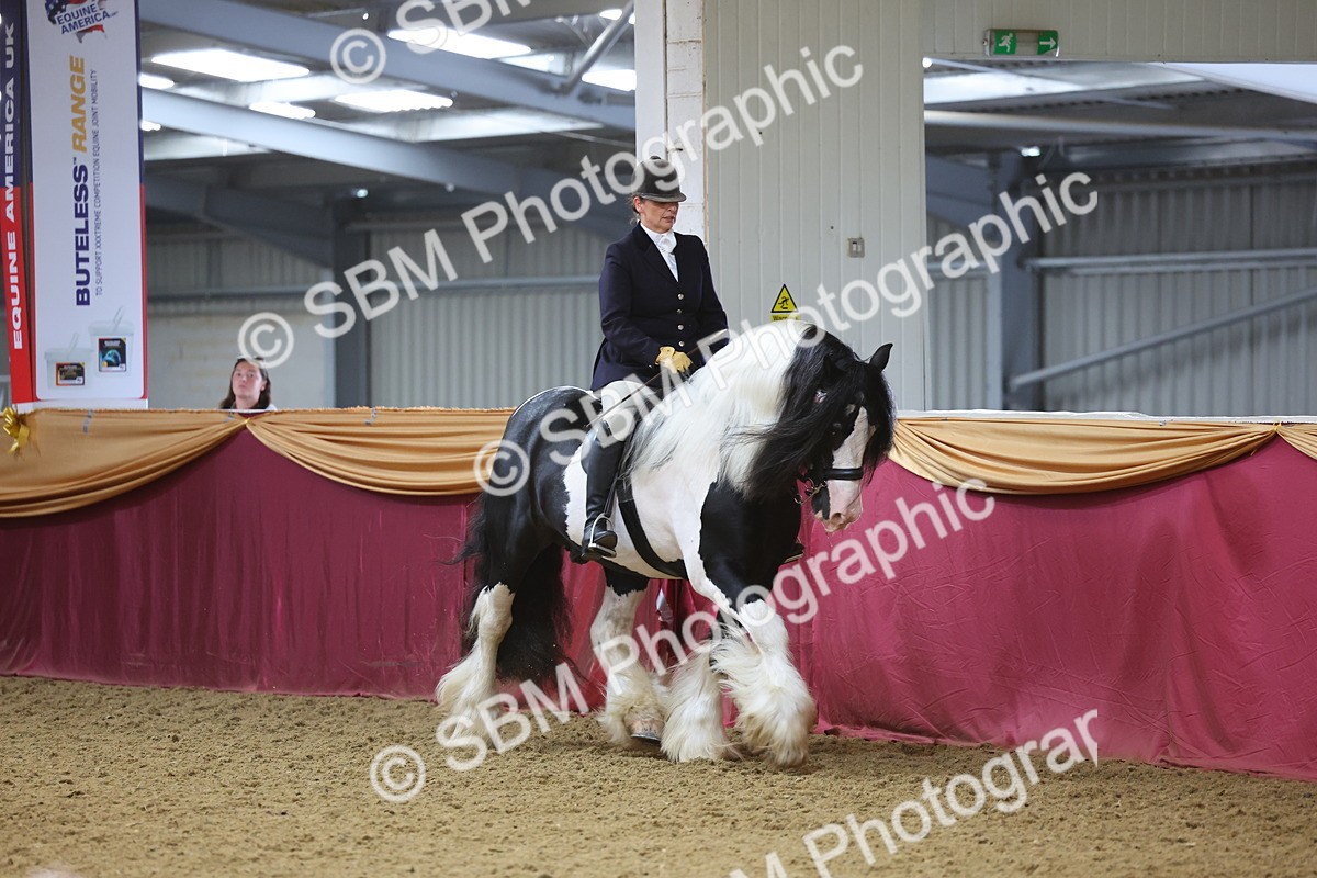 SBM_24936 - Supreme Final - Ridden Champion