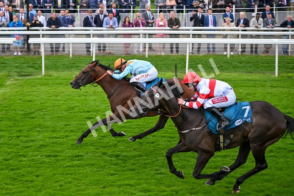 120724-Race 6-The Coffee Pod-6401 - Race 6 4.55pm Irish Thoroughbred Marketing Handicap