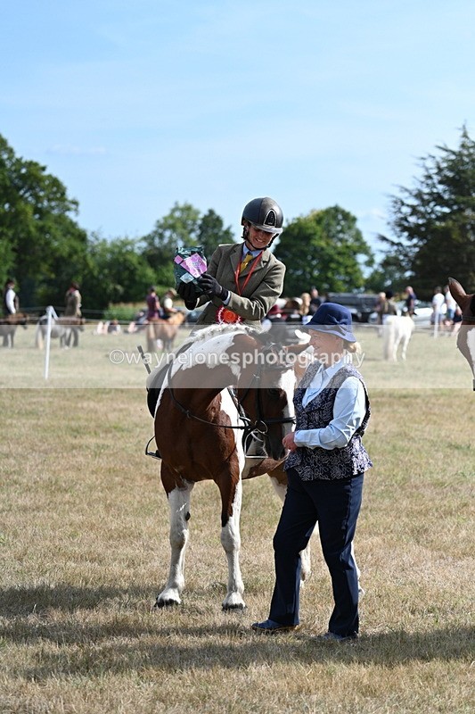 WJ7_7387 - Class 14 Ridden Coloured