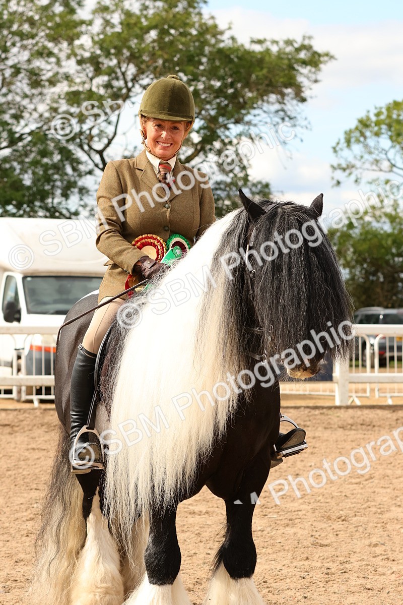 SBM_15731 - Class 215 - Ridden Traditional - Native Cobs