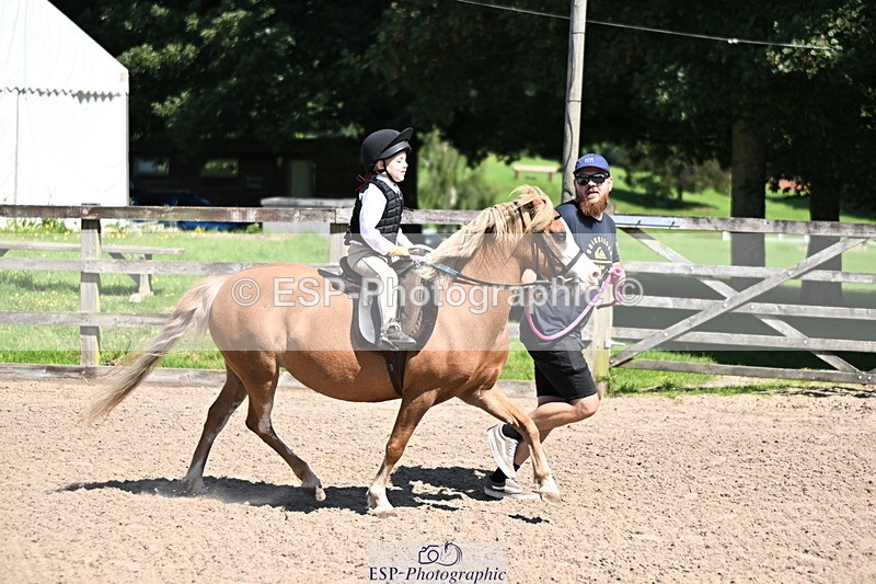 240729B-111815-02308 - Showjumping Competition