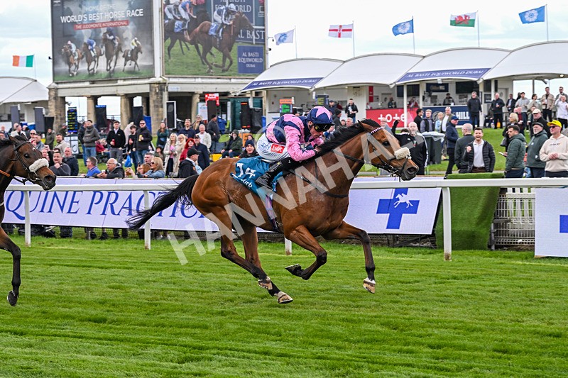 150526-Race 1-Zarathos-6919 - Race 1 1.45pm Yorkshire Equine Practice Handicap