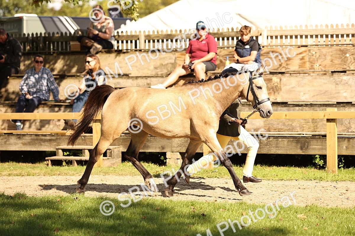 SBM_26182 - S5 - Novice & Newcomers In Hand