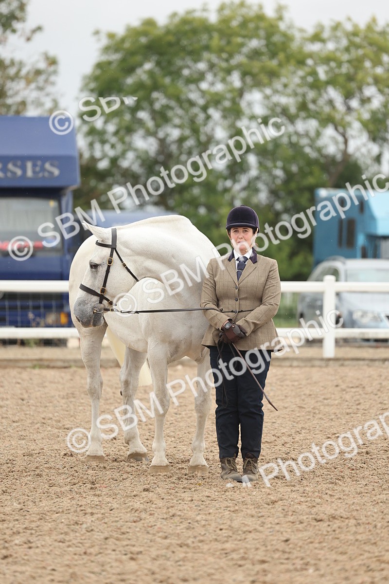 SBM_19334 - Class 317 - IH Pure Bred Horse-Pony