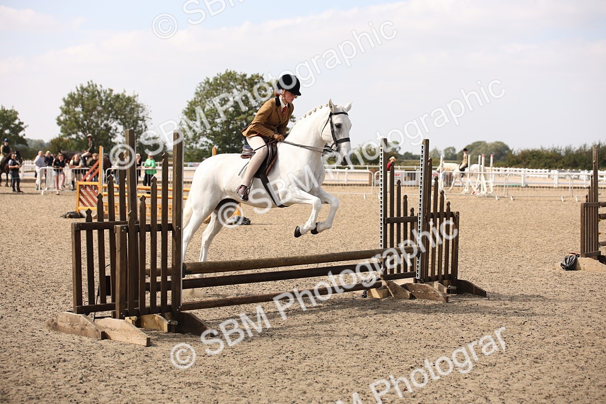 SBM_15041 - Class 408a - Working Veteran 70cm (15-19