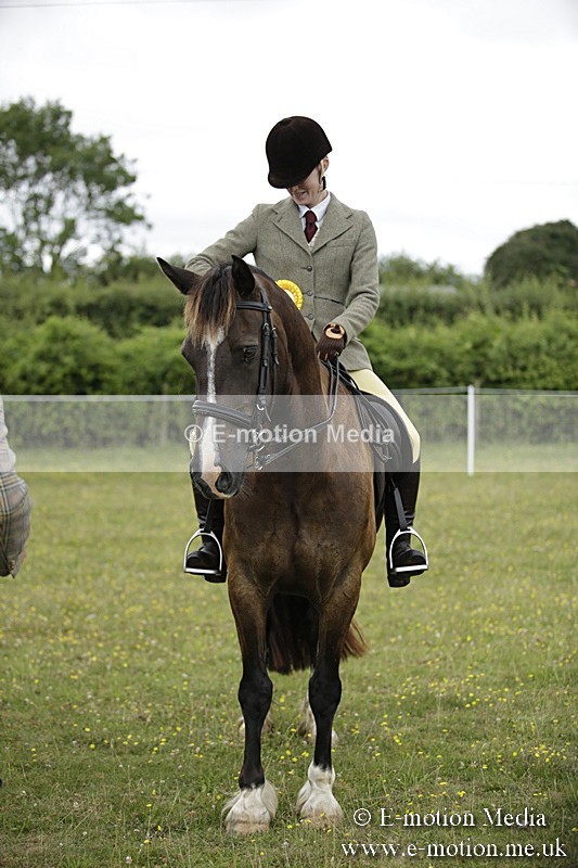 BVR160717-1347 - Ring 1 BVRC Show 16/07/17