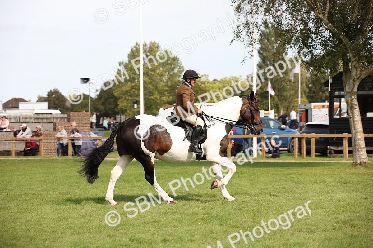 SBM_70126 - S65 - Piebald & Skewbald Horse Ridden