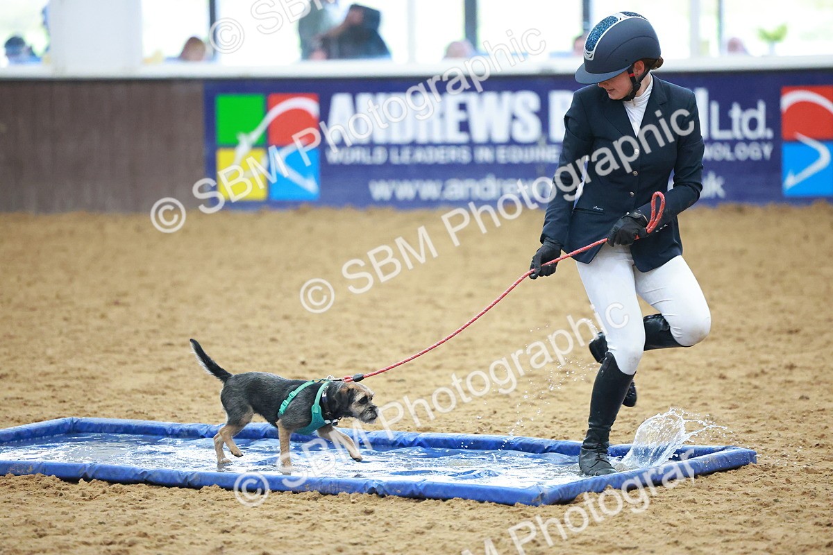 SBM_001660 - Class 3 - Horse & Hound (60cm)