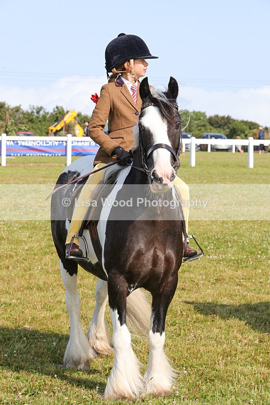 1X9A3392 - Class 28: Ridden Native/Trad Coloured Pony