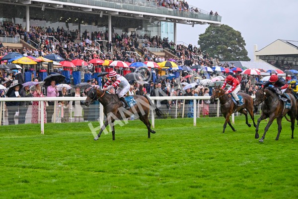 080924-Race 7-Young Fire-9718 - Race 7 5.10pm Elevator Company Amateur Jockeys' Handicap