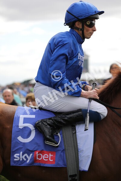 yr17082022r3-9 - Race 3 3.00pm Sky Bet Great Voltigeur Stakes