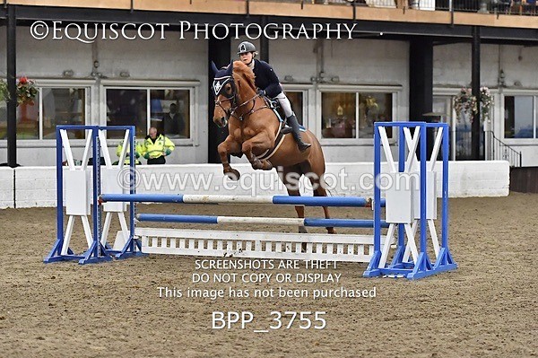 BPP_3755 - FRI CLASS 21 BR NOVICE/90CM