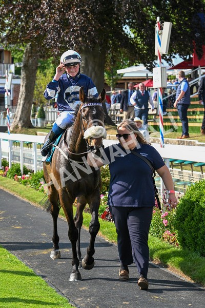 130625-Race 7-Dawn Of Liberation-0306 - Race 7 5.20pm Irish Thoroughbred Marketing Handicap