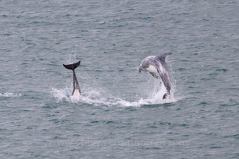 One in One Out.    ref 3406 - Latest images