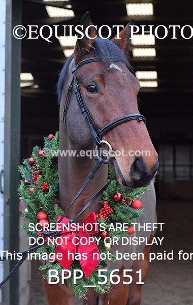 BPP_5651 - Imogen Gray